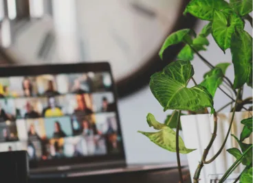 Laptop mit einer Videokonferenz auf dem Bildschirm, daneben eine Zimmerpflanze